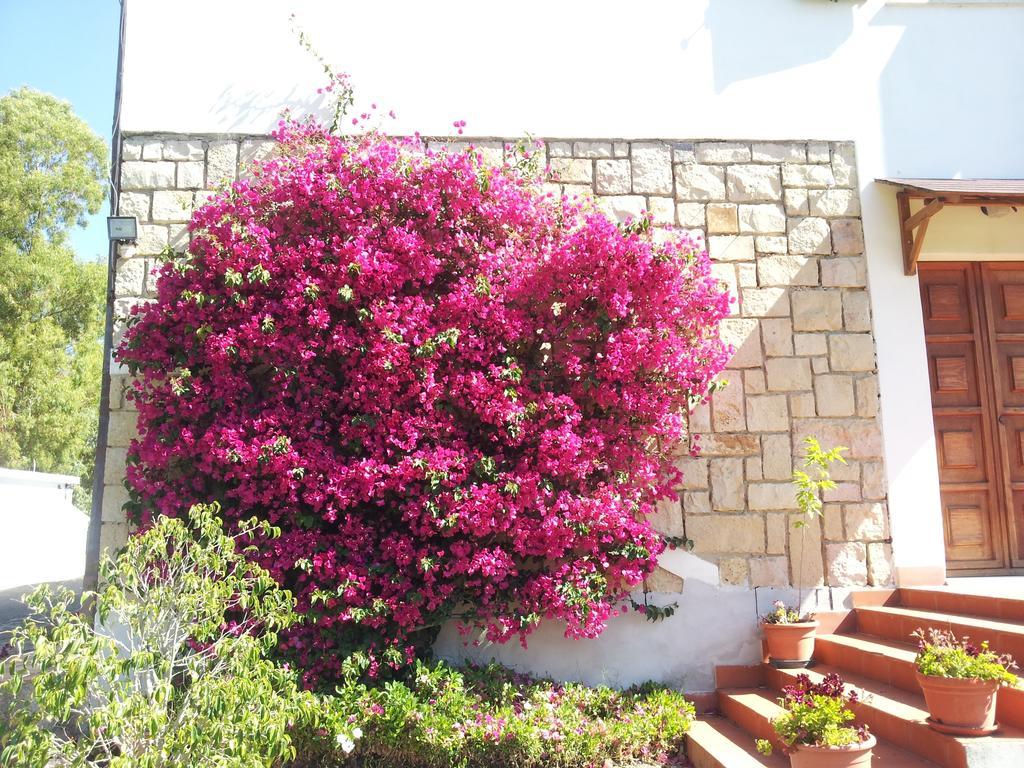 Bed and Breakfast Al Sole Di Пула Екстер'єр фото